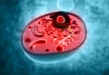 Последние Исследования Mitrix Bio Говорят о Том, Что Возраст Иммунной Системы Человека в Скором Времени Можно Будет Сократить на 30 Лет.